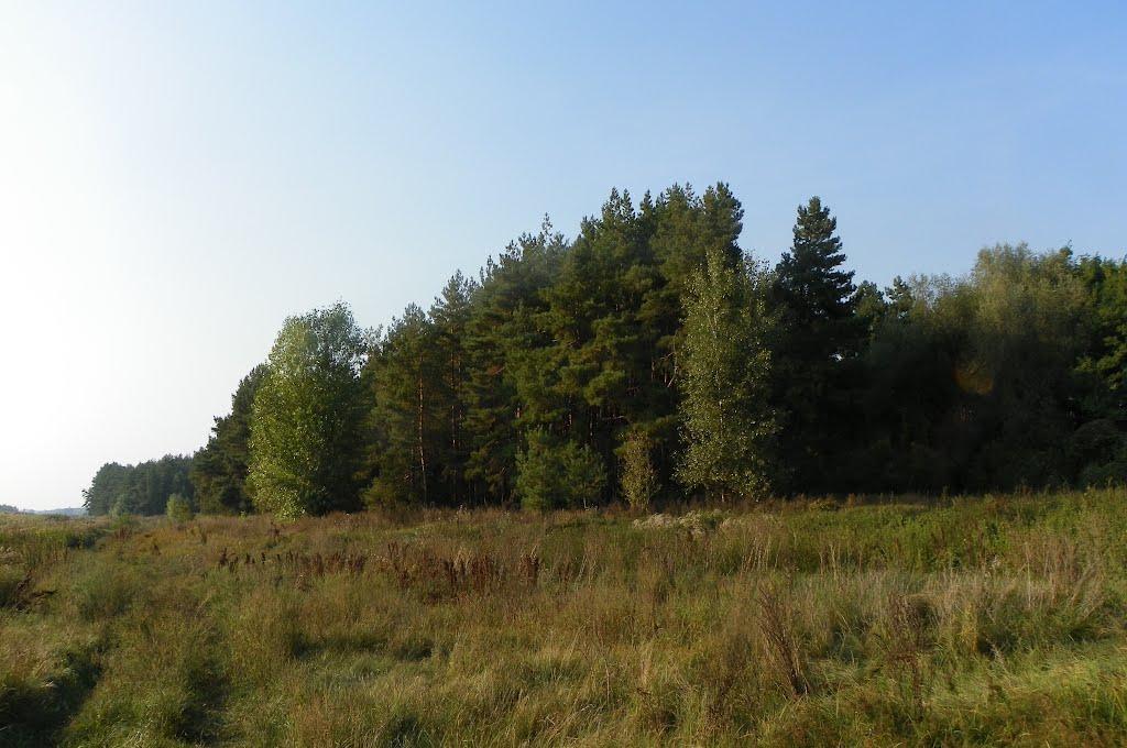 Чапаєвка з panoramio.com - Чапаевка