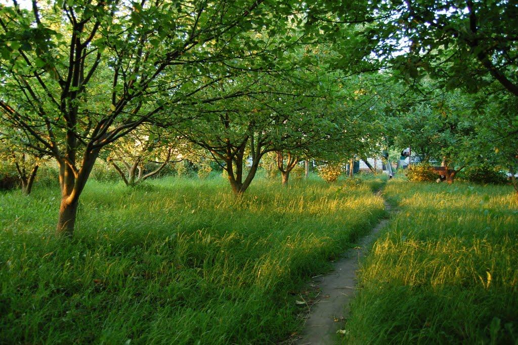 Краківщина з panoramio.com - Краківщина