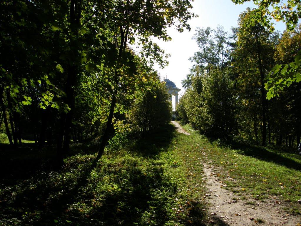 Сокиринці з panoramio.com - Сокиринці