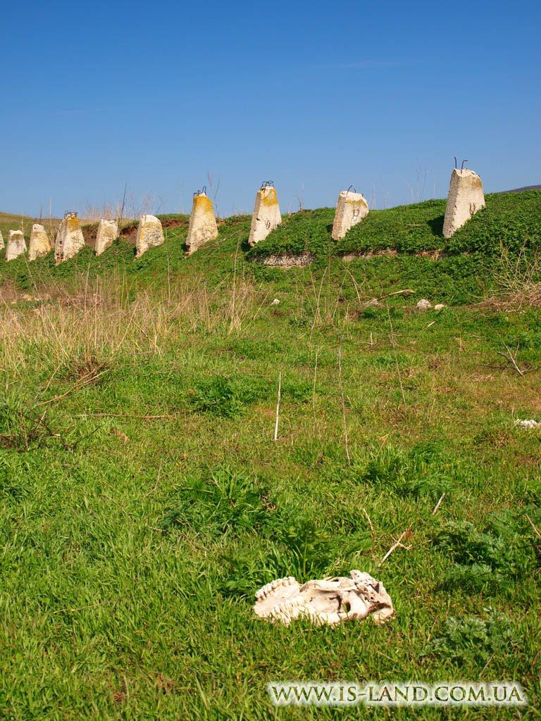 Багате з panoramio.com - Багате