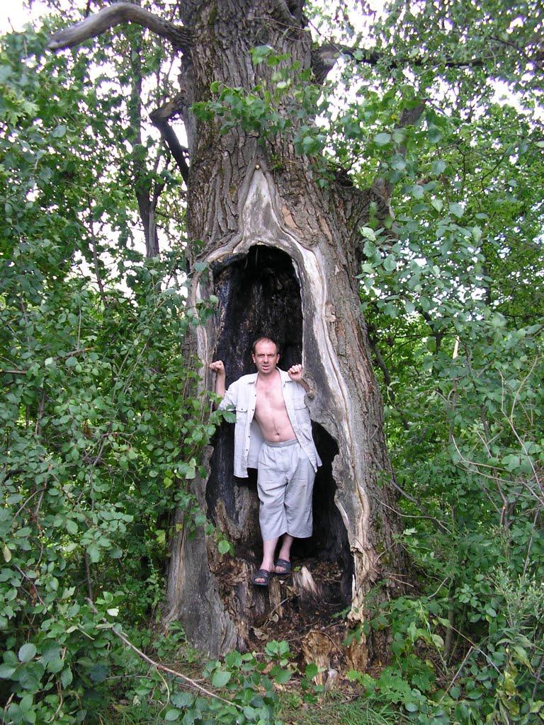 Вільхівка з panoramio.com - Вільхівка