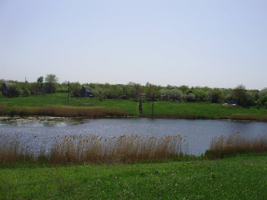 Темрюк з panoramio.com - Temryuk