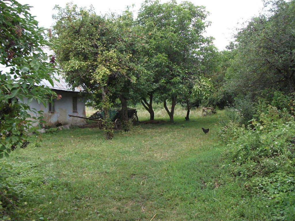 Семисотка з panoramio.com - Семисотка