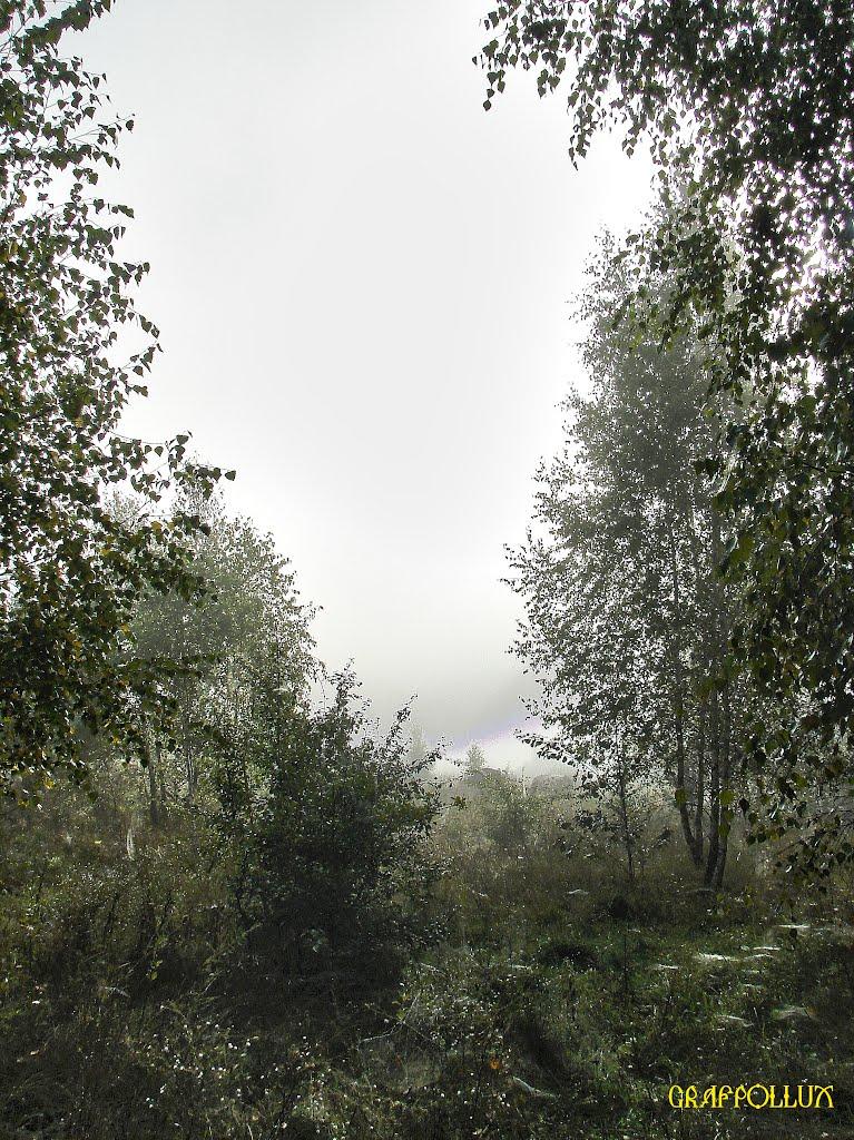 Мохначі з panoramio.com - Мохначі