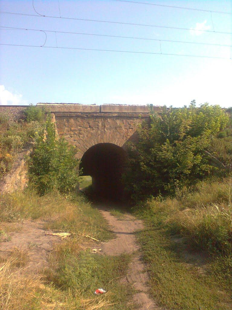 Білецьківка з panoramio.com - Білецьківка