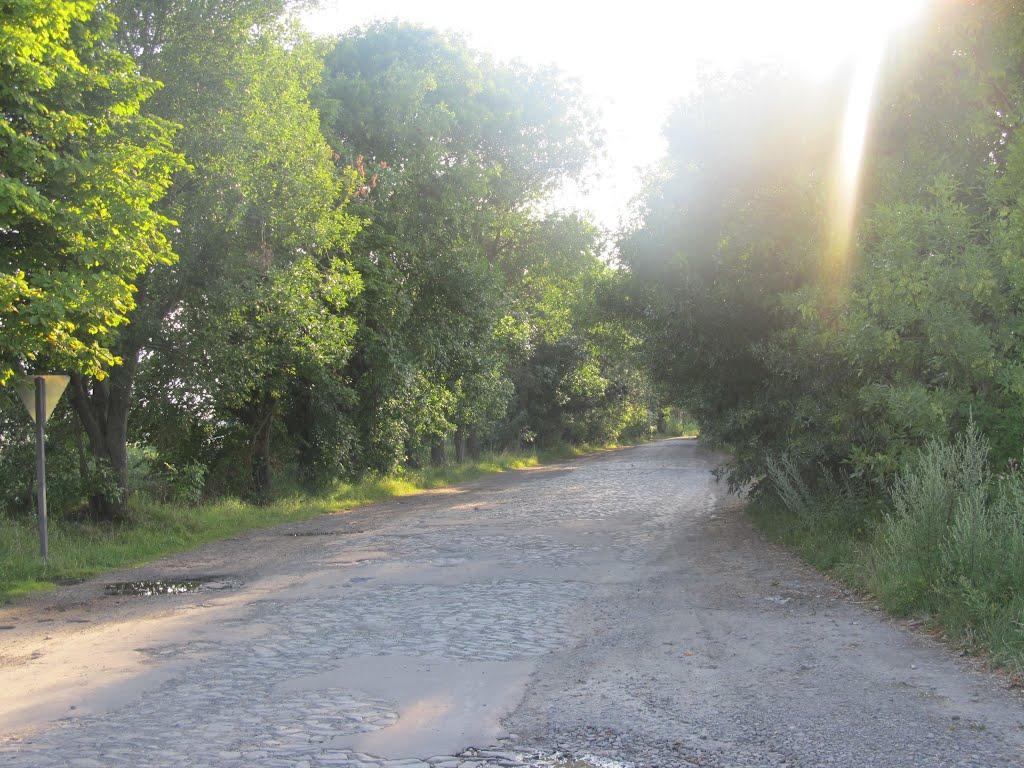 Мізоч з panoramio.com - Мізоч