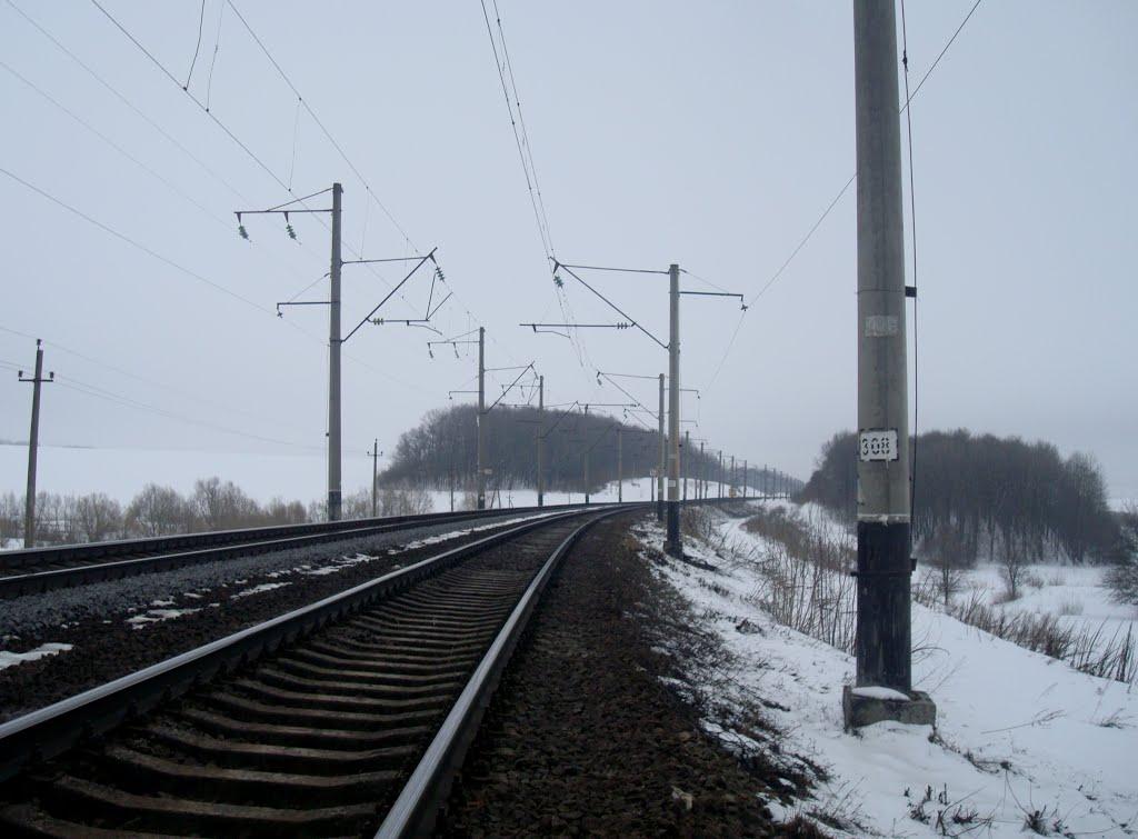 Березове з panoramio.com - Berezove