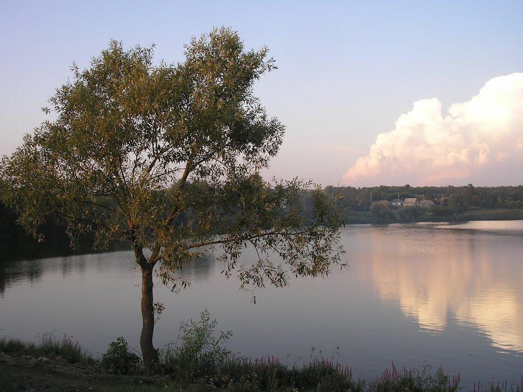 Скопіївка з panoramio.com - Скопиевка