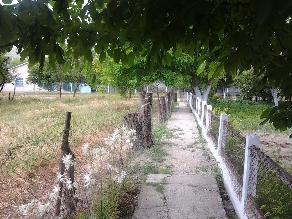 Багате з panoramio.com - Багате