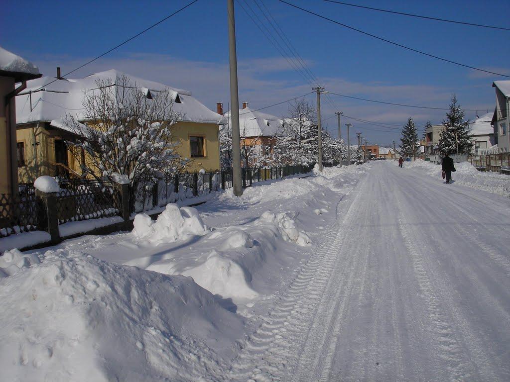 Малі Селменці з panoramio.com - Малые Селлменцы