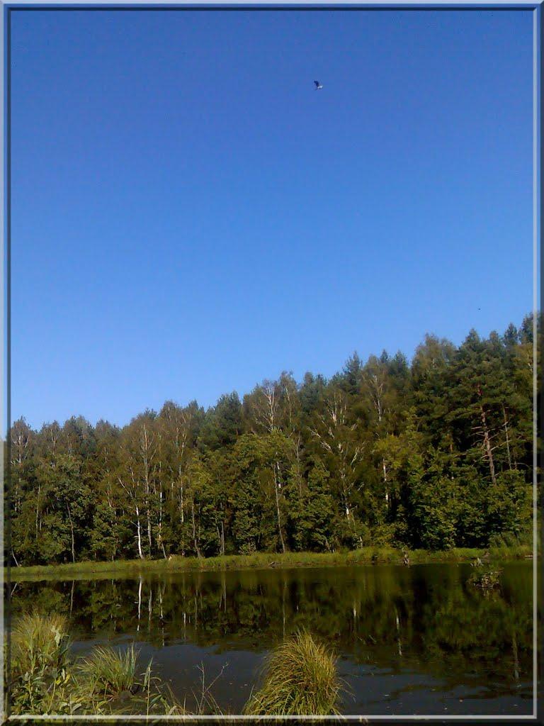 Гута з panoramio.com - Гута