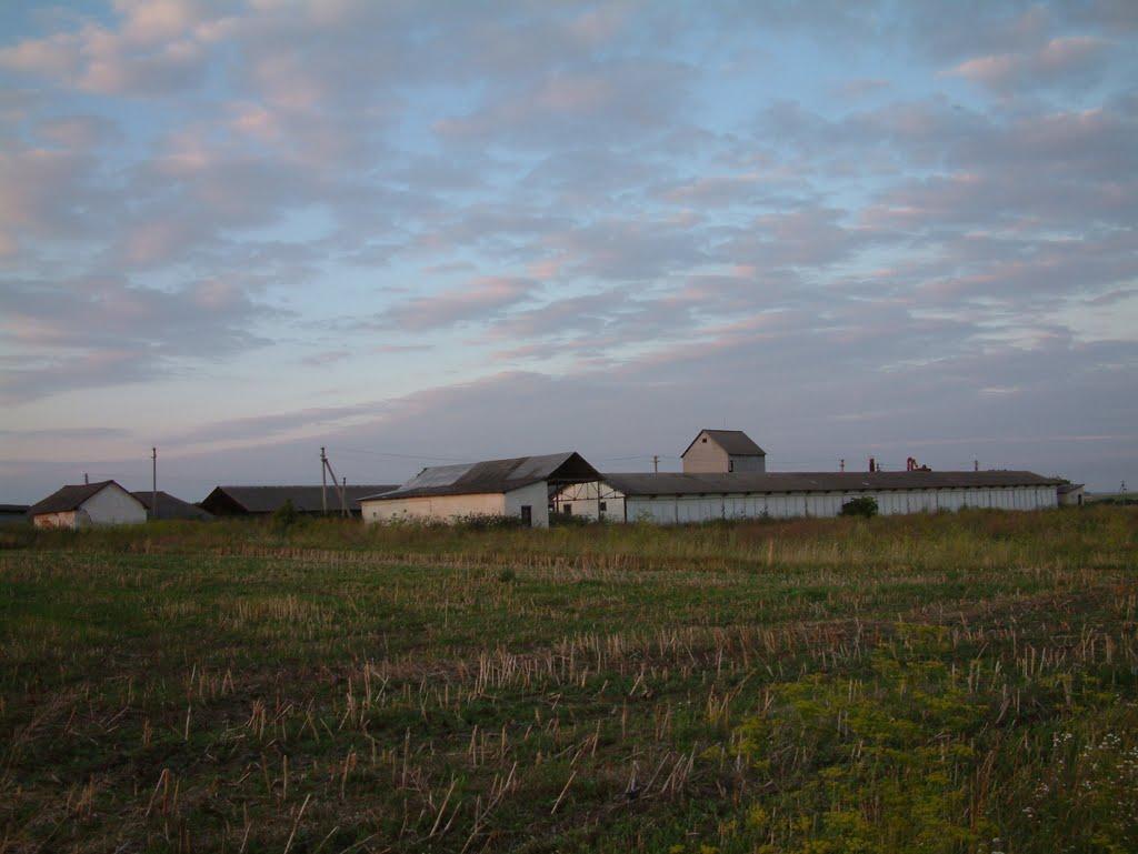Багатківці з panoramio.com - Багатківці