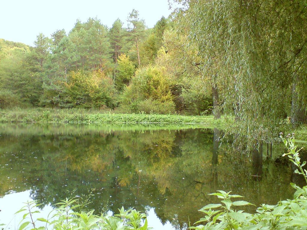 Рогачин з panoramio.com - Рогачин