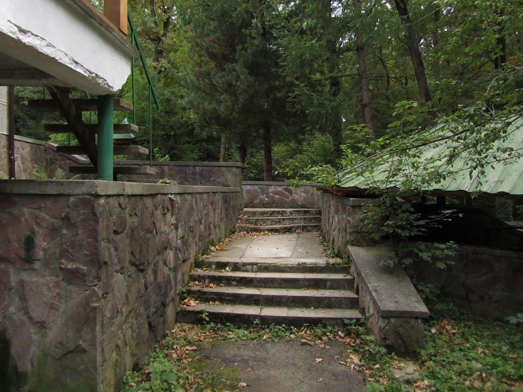 Підгір'я з panoramio.com - Подгорье