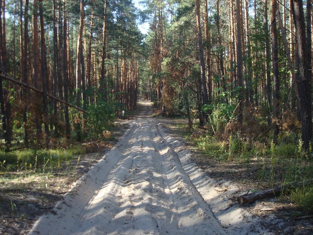 Бондарня з panoramio.com - Бондарня