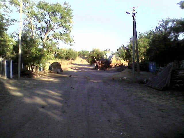 Соше-Острівське з panoramio.com - Соше-Островское