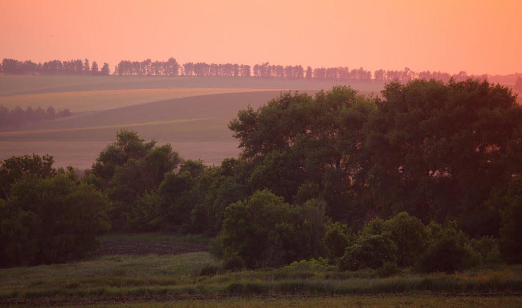Руська Лозова з panoramio.com - Русская Лозовая