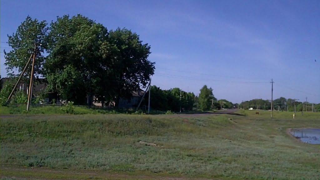 Вечірки з panoramio.com - Вечірки