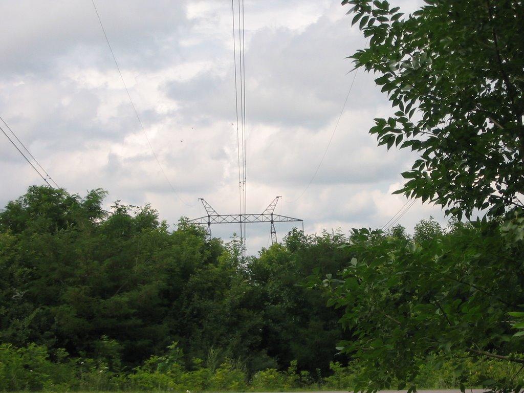 Дачне з panoramio.com - Дачне