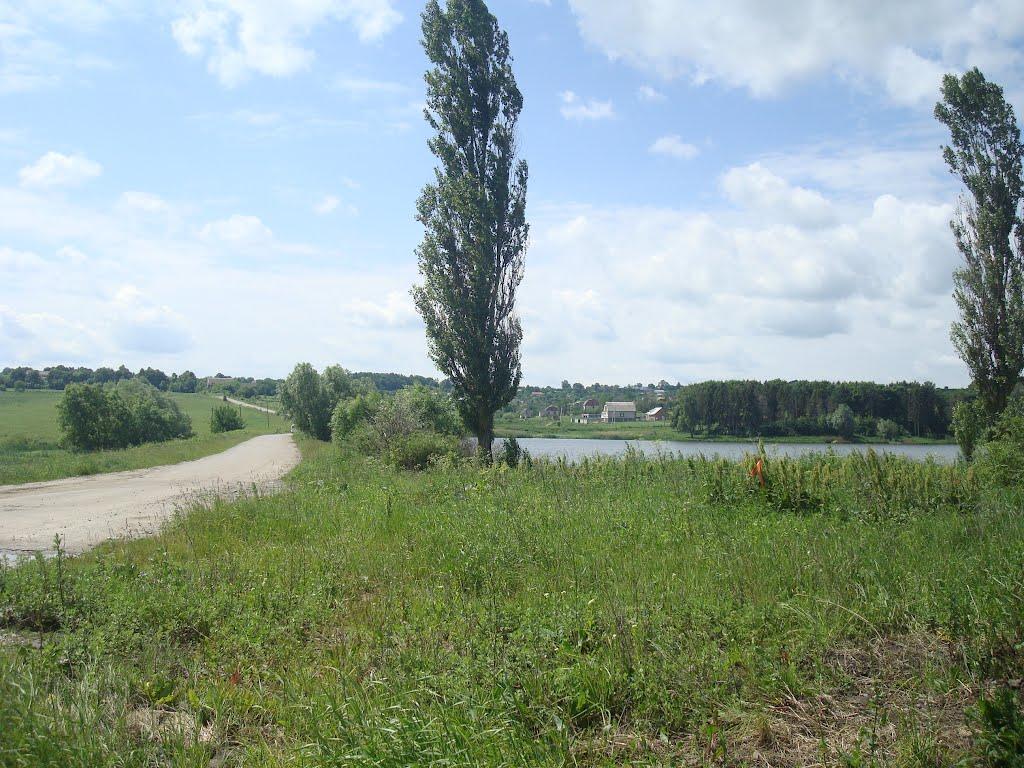 Давидківці з panoramio.com - Давидківці