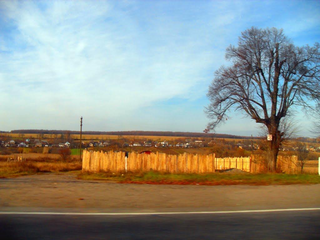 Писарівка з panoramio.com - Писаревка