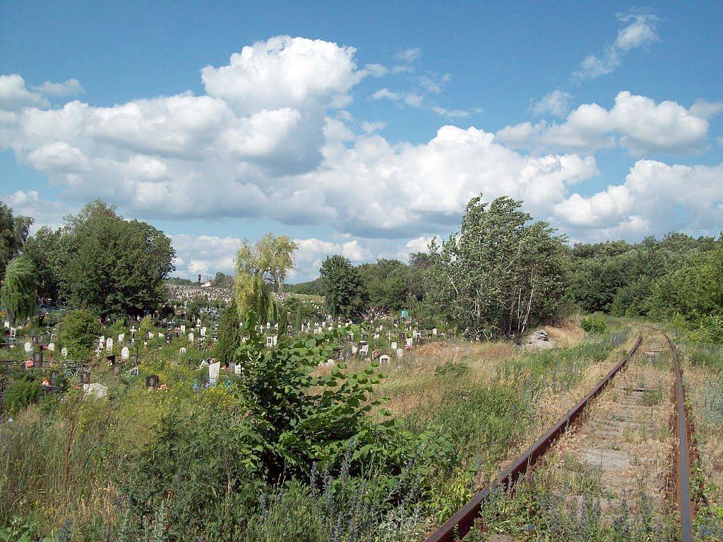 Бездрик з panoramio.com - Бездрик