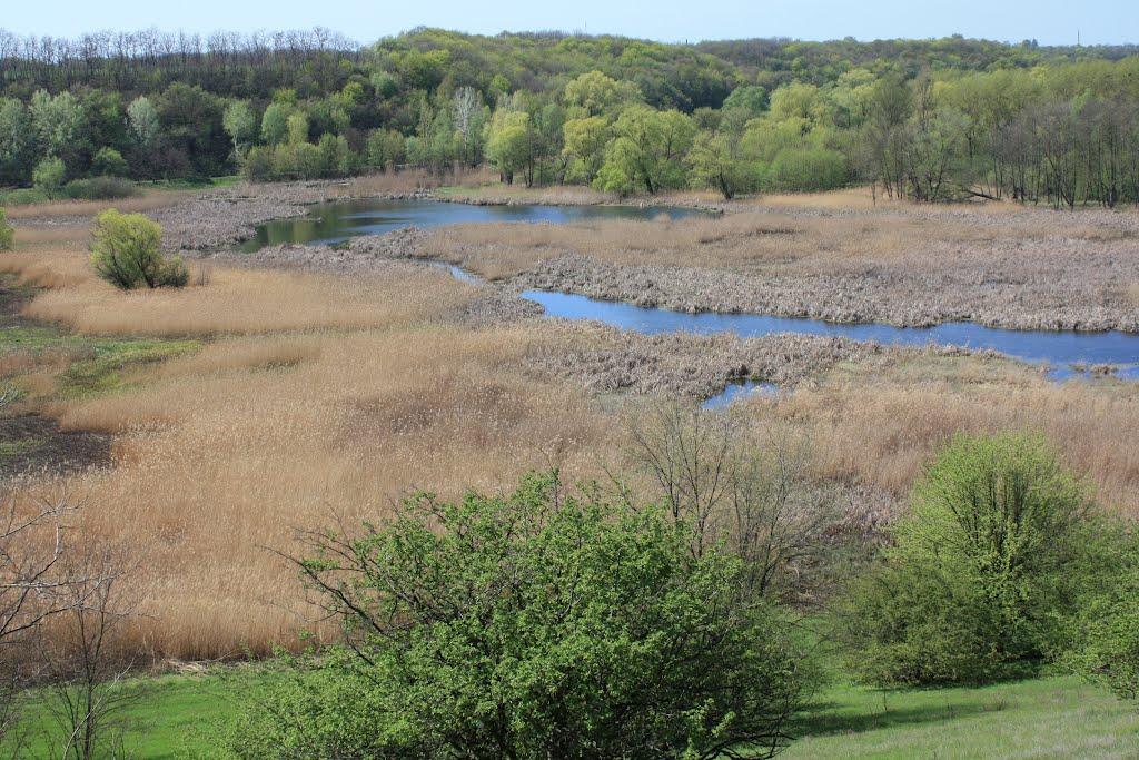 Загородище з panoramio.com - Загородище