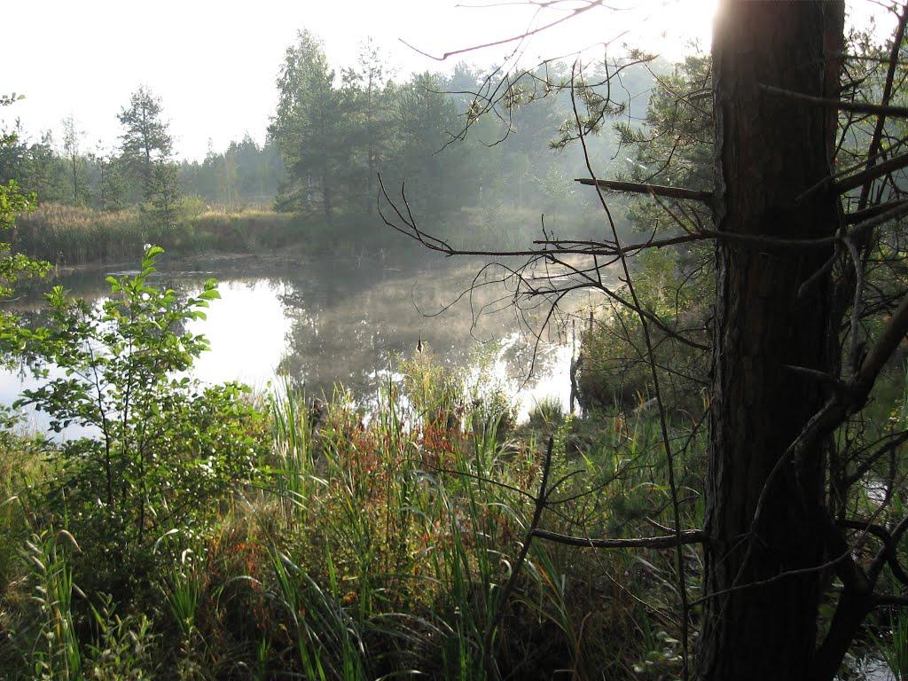 Лісобуда з panoramio.com - Лесобуда