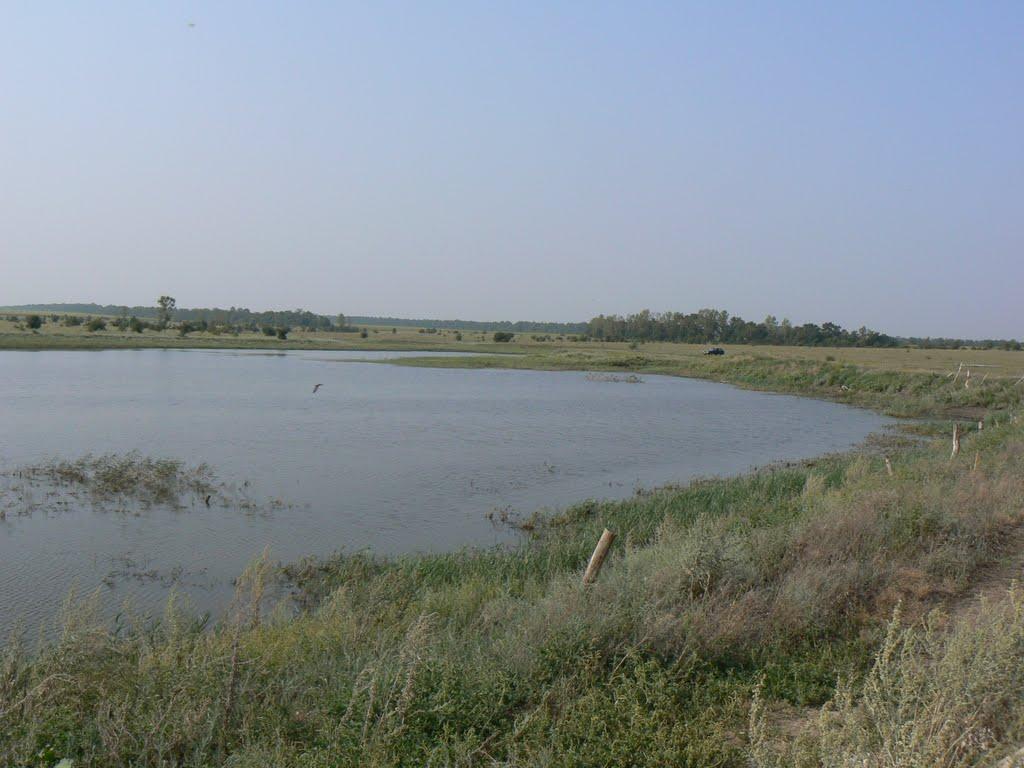Світле з panoramio.com - Світле