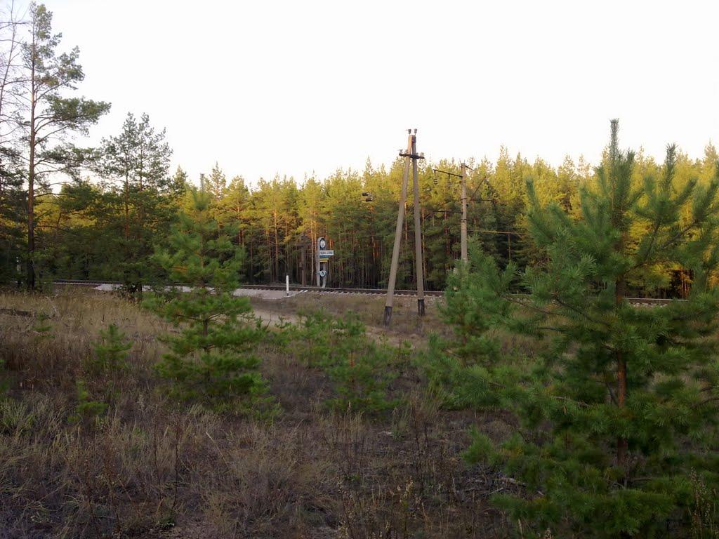 Студенок з panoramio.com - Студенок