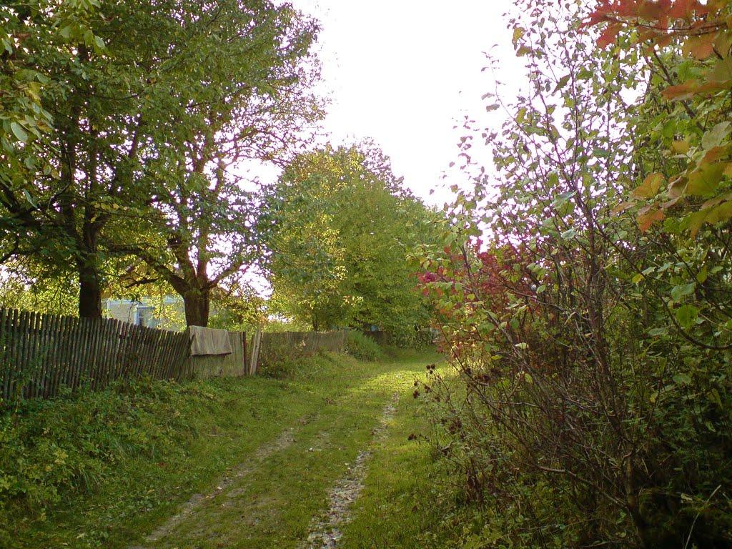Дуляби з panoramio.com - Дулябы