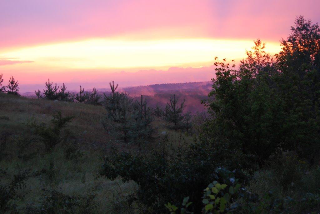 Шпаківка з panoramio.com - Шпаківка