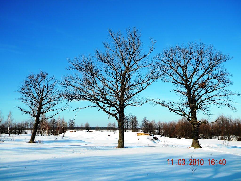Середина-Буда з panoramio.com - Середина-Буда