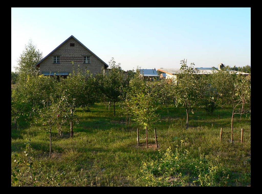 Дзвінкове з panoramio.com - Дзвінкове
