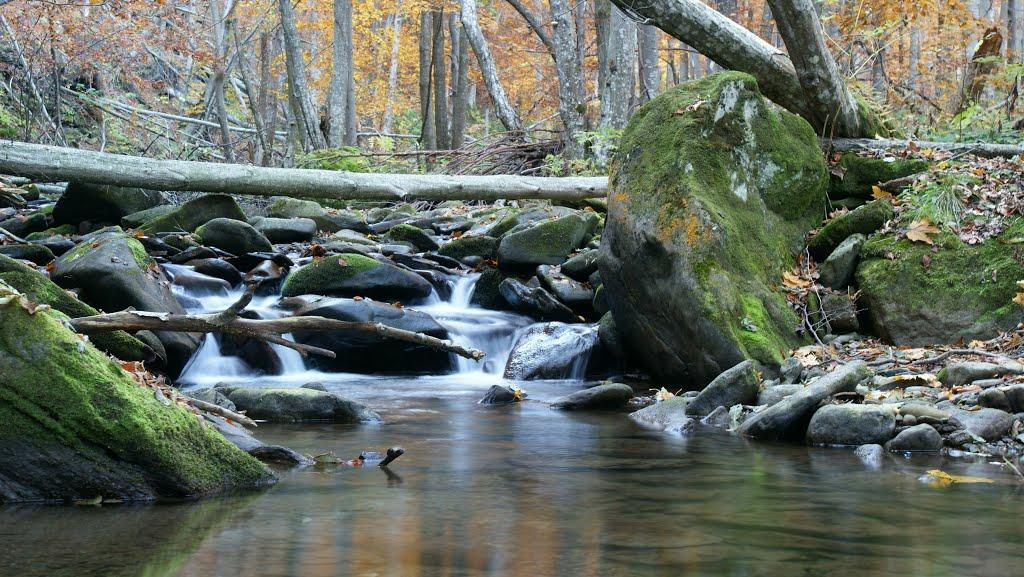 Збини з panoramio.com - Збини