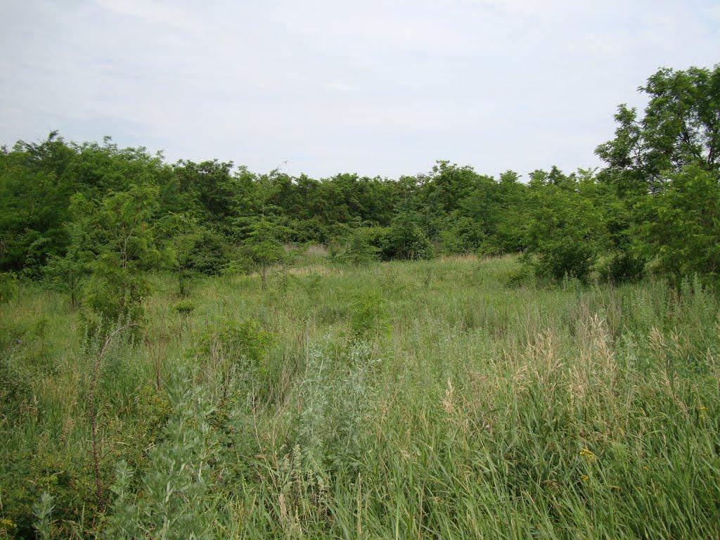 Вишнювате з panoramio.com - Вишневатое