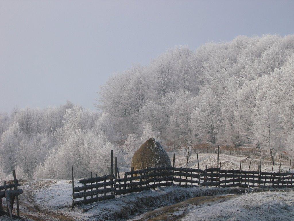 Хмелів з panoramio.com - Хмелів
