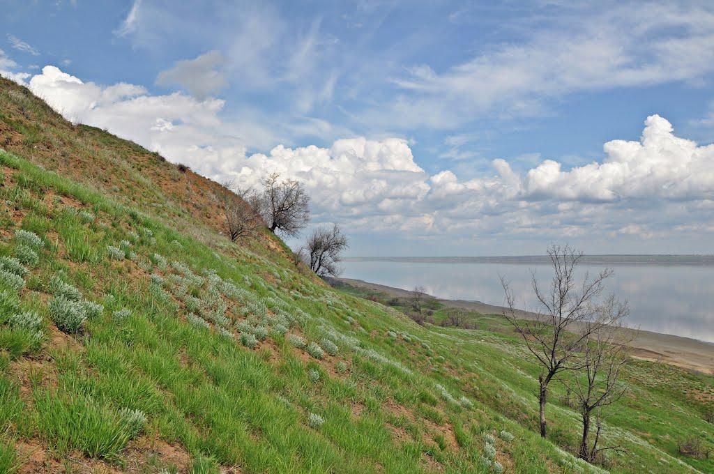 Августівка з panoramio.com - Августівка