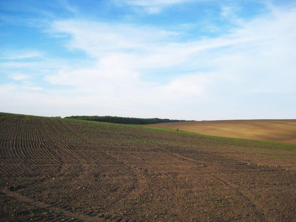 Підволочиськ з panoramio.com - Подволочиск