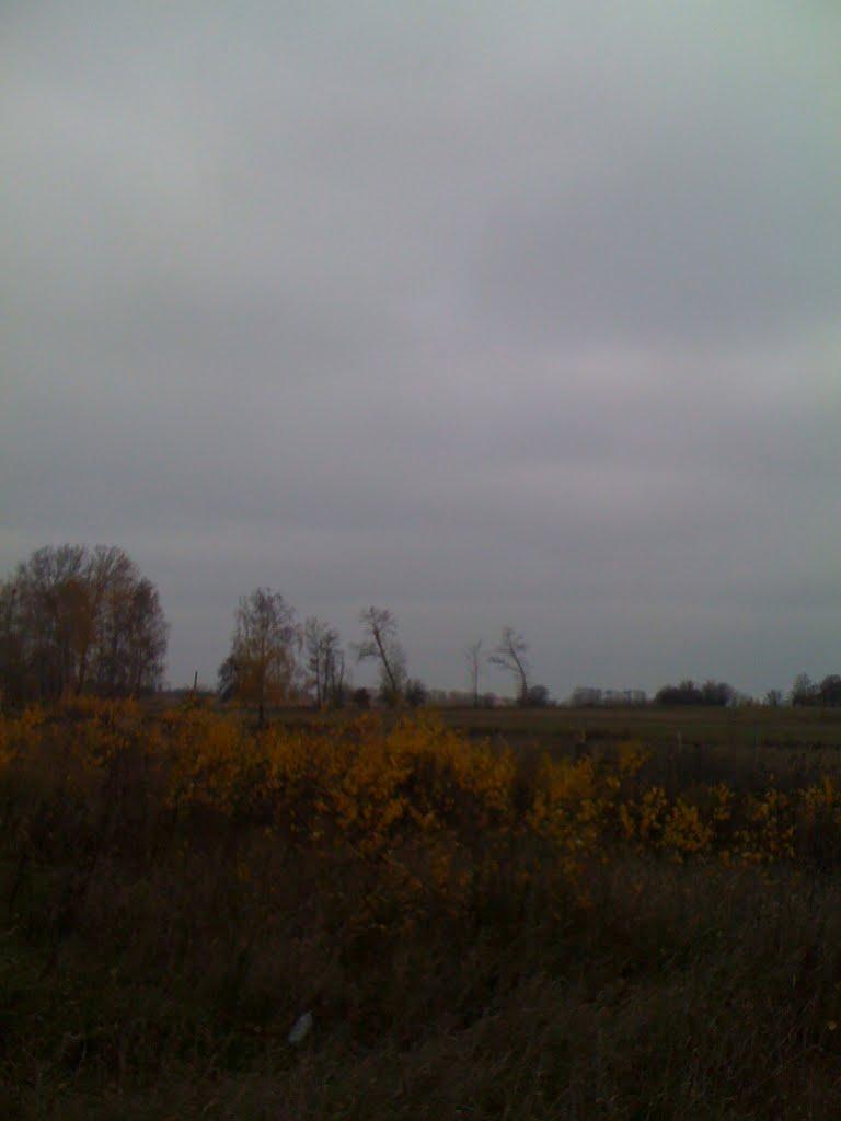 Озера з panoramio.com - Озера