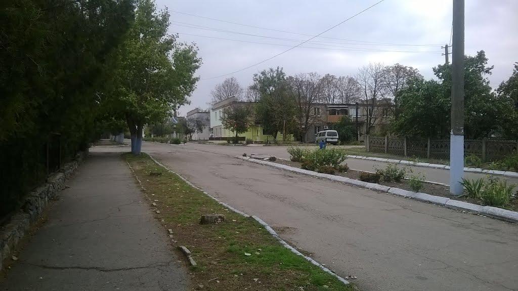 Горностаївка з panoramio.com - Горностаевка