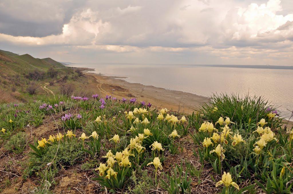 Августівка з panoramio.com - Августівка