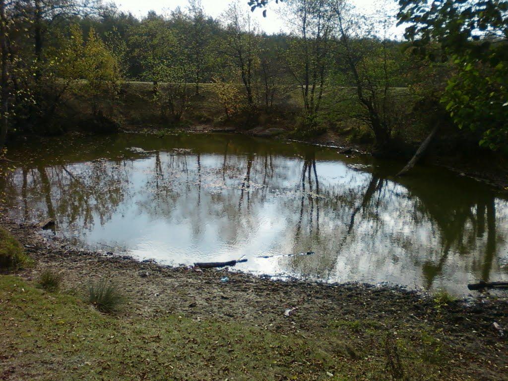 Павлівка з panoramio.com - Павлівка