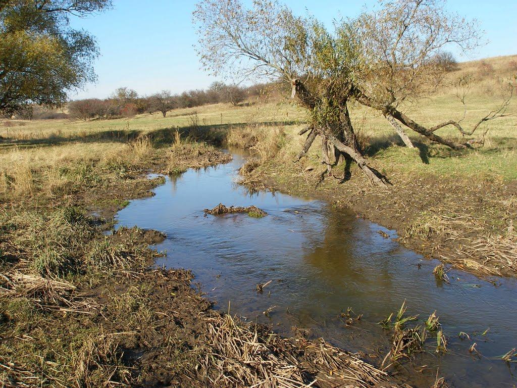 Новоолексіївка з panoramio.com - Новоалексеевка