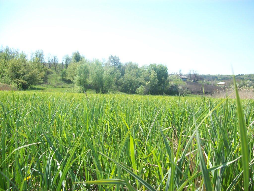 Ананьїв з panoramio.com - Ананьїв