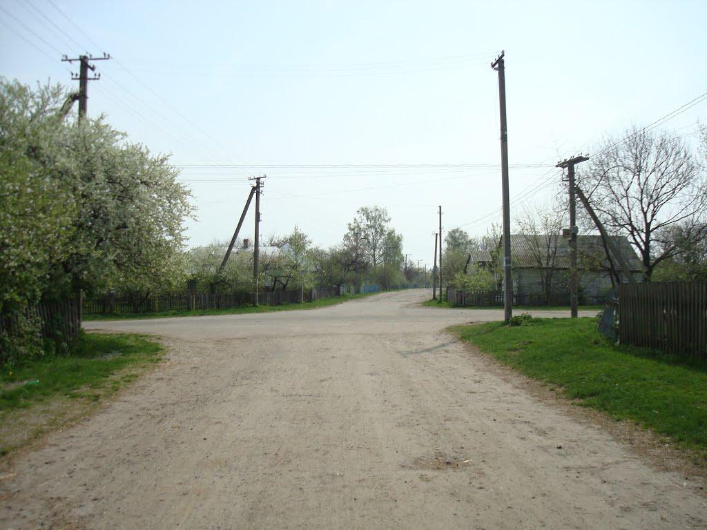 Дроздні з panoramio.com - Дроздни