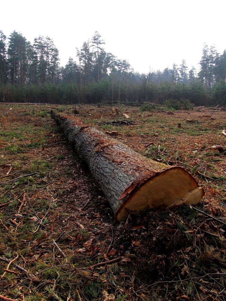 Полонне з panoramio.com - Полонное