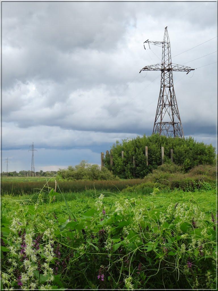 Дробишів з panoramio.com - Дробышев