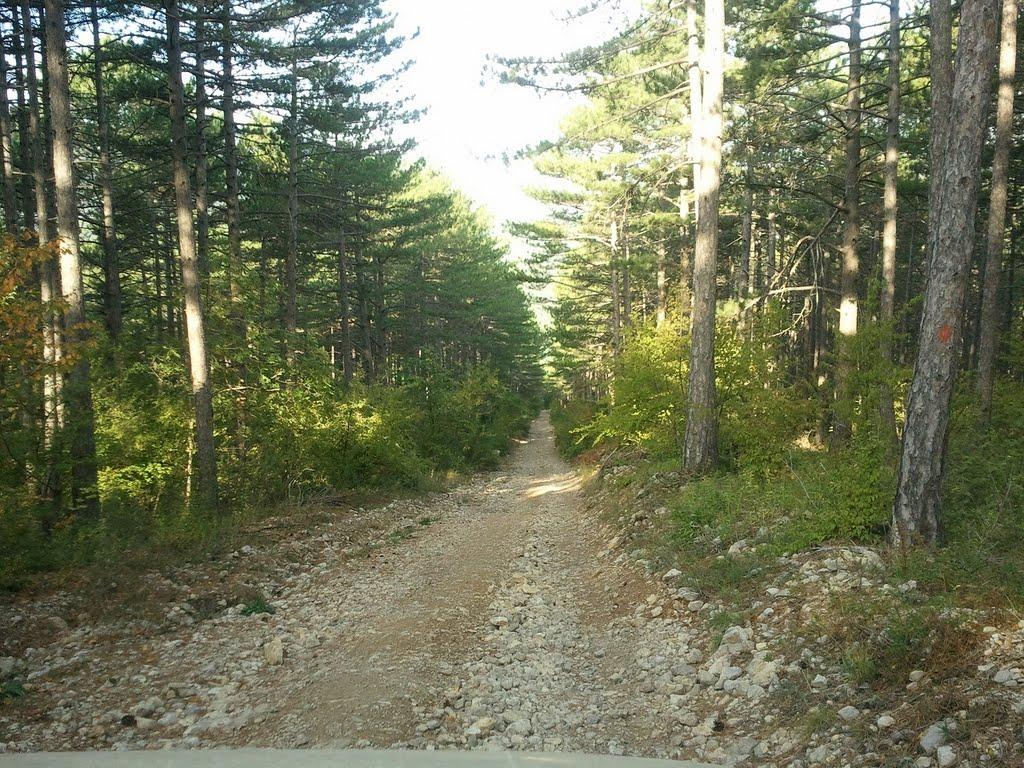 Многоріччя з panoramio.com - Многоріччя