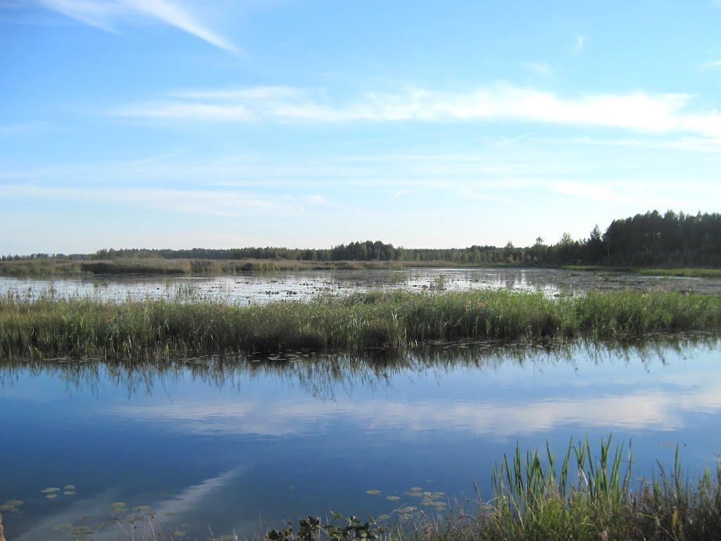 Рудня-Карпилівська з panoramio.com - Рудня-Карпилівська